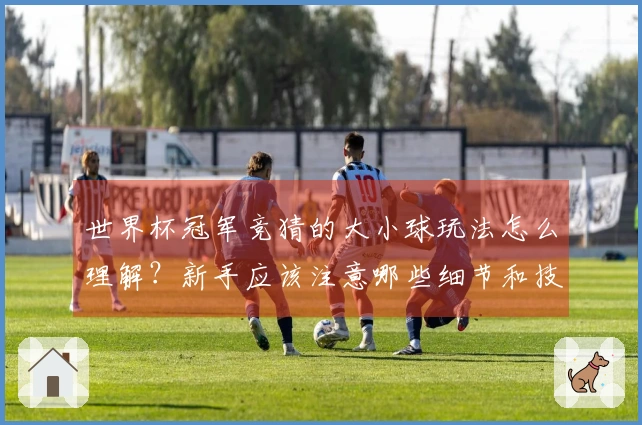 世界杯冠军竞猜的大小球玩法怎么理解？新手应该注意哪些细节和技巧？