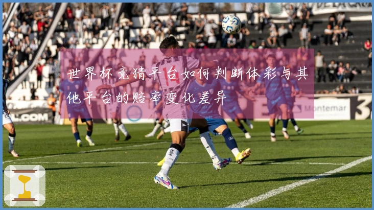 世界杯竞猜平台如何判断体彩与其他平台的赔率变化差异