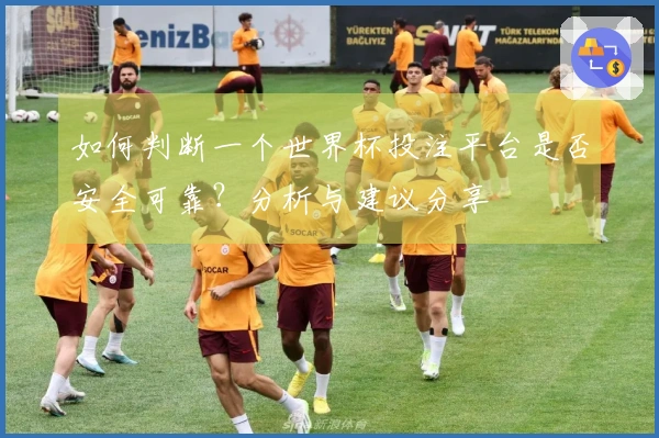 如何判断一个世界杯投注平台是否安全可靠？分析与建议分享