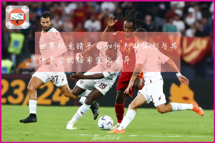 世界杯竞猜平台如何判断体彩与其他平台的赔率变化差异