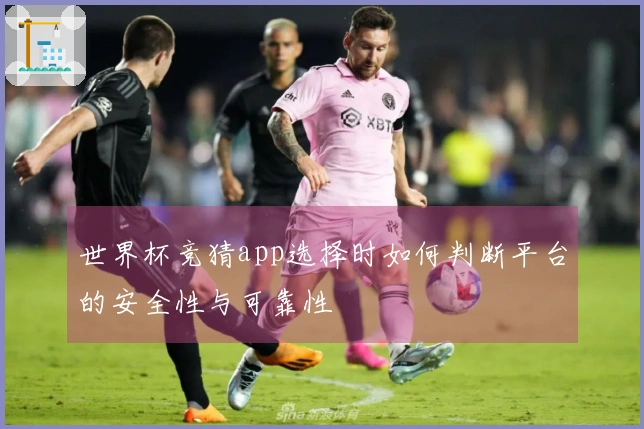 世界杯竞猜app选择时如何判断平台的安全性与可靠性