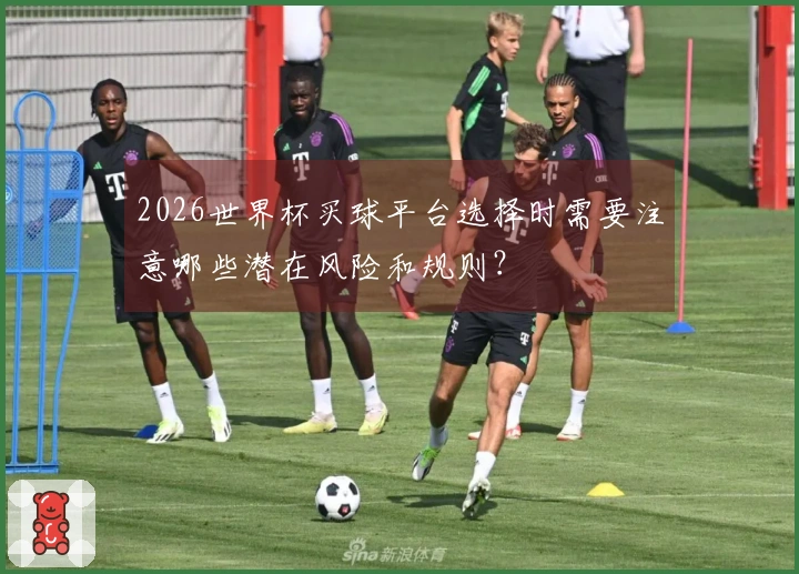 2026世界杯买球平台选择时需要注意哪些潜在风险和规则?