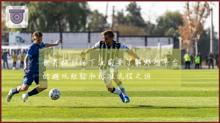 世界杯如何下注前要了解哪些平台的避坑经验和标准流程之诉