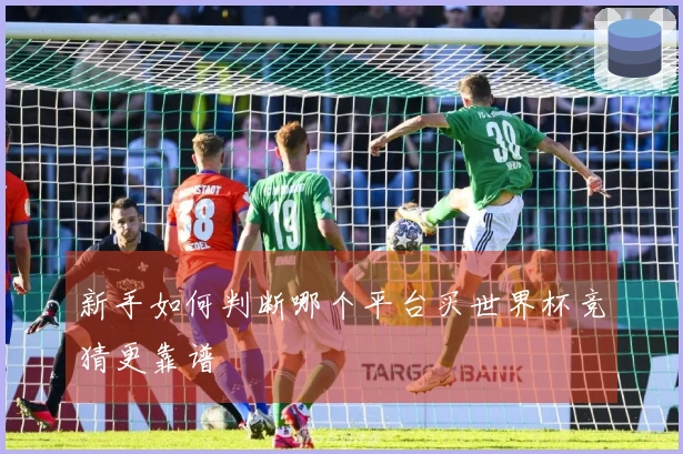 新手如何判断哪个平台买世界杯竞猜更靠谱