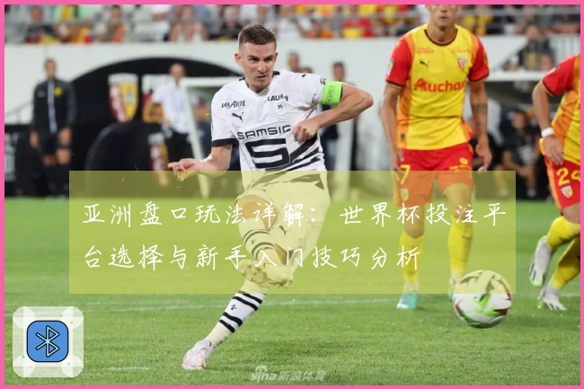 亚洲盘口玩法详解：世界杯投注平台选择与新手入门技巧分析