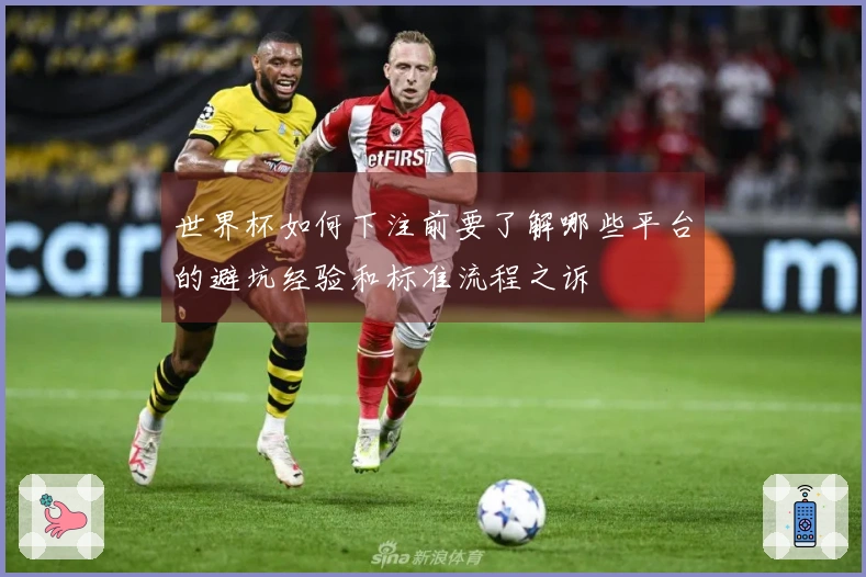 世界杯如何下注前要了解哪些平台的避坑经验和标准流程之诉